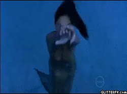 40876523.gif